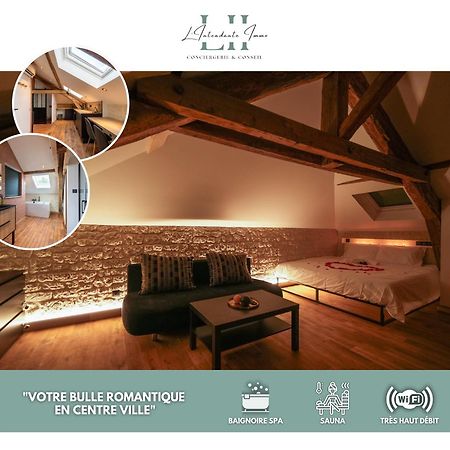 Evasion Chic, Spa Et Sauna Sous Les Toits ナンシー エクステリア 写真
